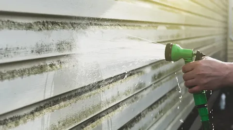 Mold Regrowth and Algae Troubleshooting