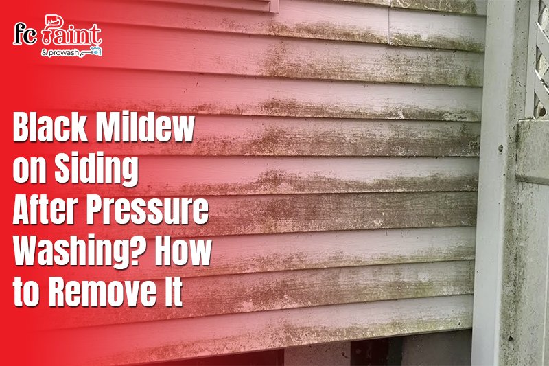 black-mildew-on-siding-after-pressure-washing-how-to-remove-it
