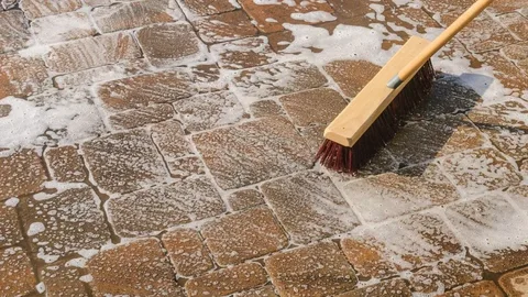 Clean the Pavers