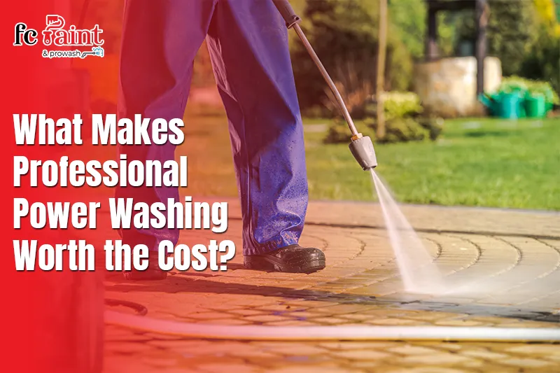 What Makes Professional Power Washing Worth the Cost?