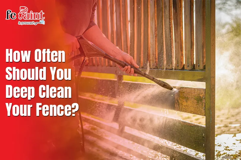 How Often Should You Deep Clean Your Fence?