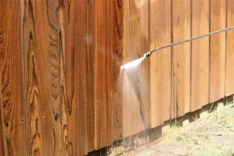 Fence Needs Deep Cleaning