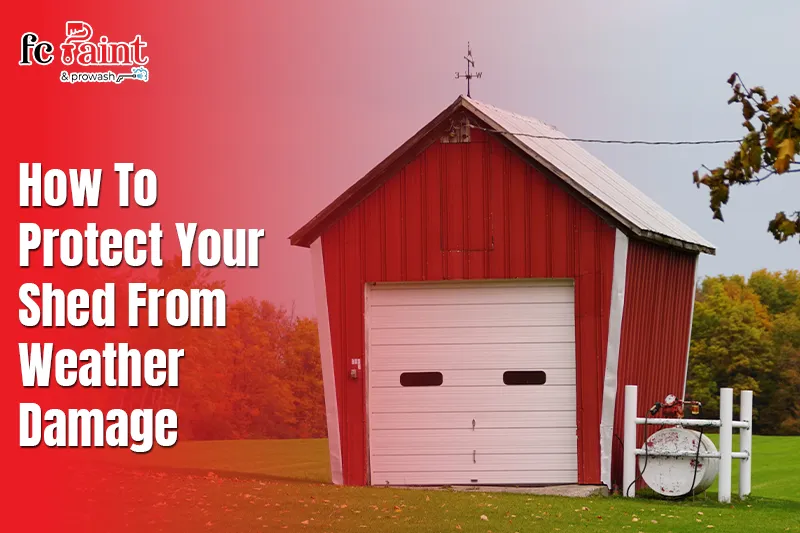 How to Protect Your Shed From Weather Damage?